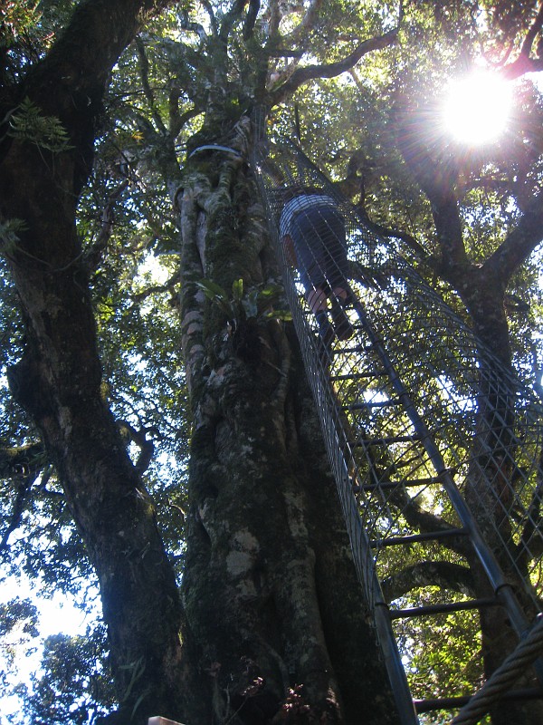2009-11-06 22-05-07_2.jpg - Jörn macht den Anfang